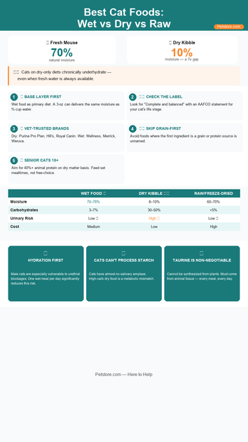 Best Cat Foods: Wet vs Dry vs Raw