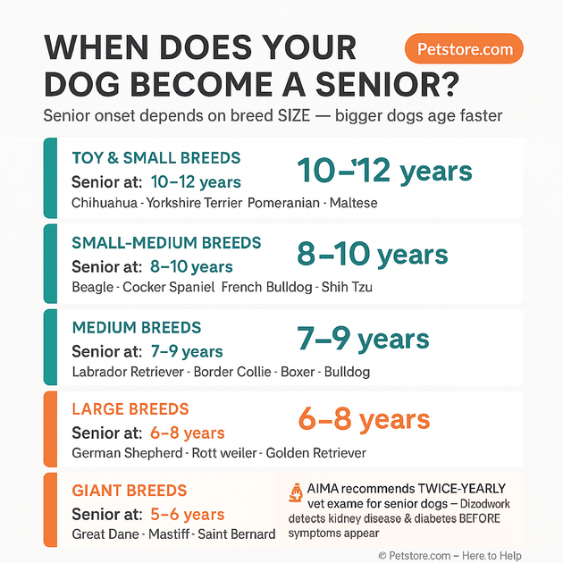 When Does Your Dog Become a Senior? Age by Breed Size — Petstore.com