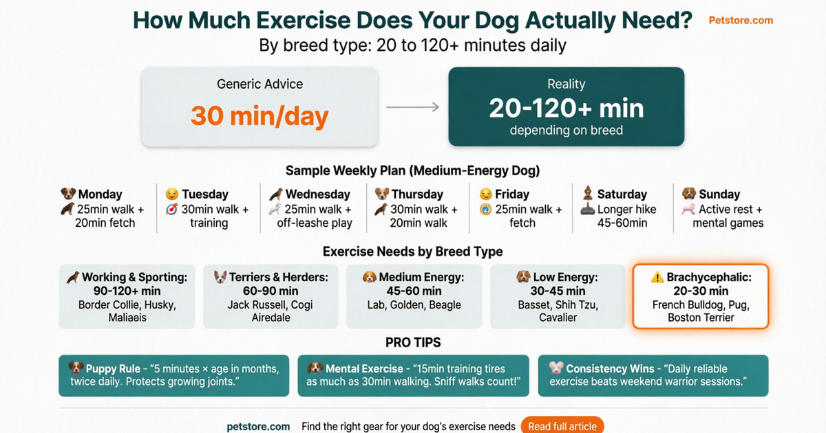 How Much Exercise Does Your Dog Actually Need? By breed type: 20 to 120+ minutes daily — Petstore.com infographic