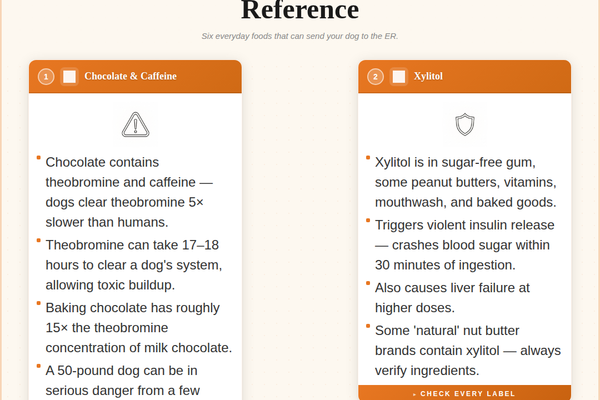 Human Foods Toxic to Dogs: Quick Reference — petstore.com