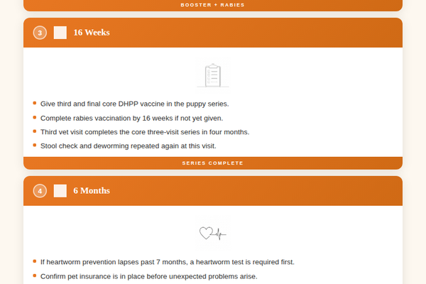 Puppy Vaccine & Health Schedule — petstore.com