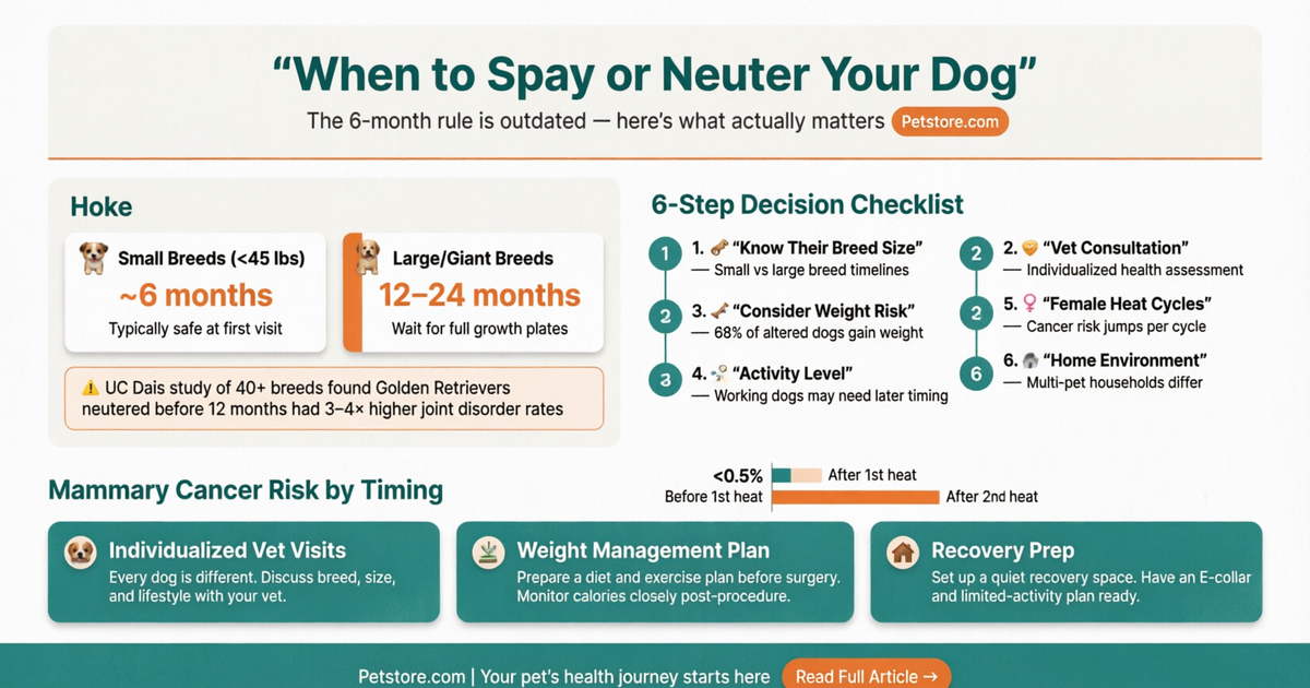 When to Spay or Neuter Your Dog infographic – Petstore.com